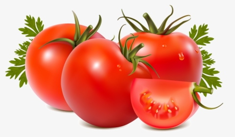 Tomato And Kidney Stone Everyday Life - Tomato Png, Transparent Png, Transparent PNG