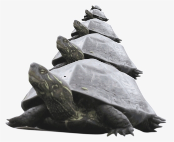Pyramid Of Turtle Clip Arts - Pyramid Of Turtles, HD Png Download, Transparent PNG