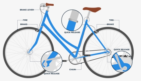 A Graphic Of A Bike Highlighting The Various Parts - Levers On A Bike, HD Png Download, Transparent PNG