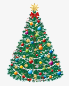 Beautiful Christmas Tree, HD Png Download, Transparent PNG
