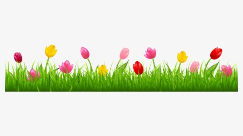 Grass Clipart Spring Grass - Tulips Clip Art, HD Png Download, Transparent PNG
