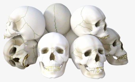 Skull Png Background Clipart - Transparent Transparent Background Skulls, Png Download, Transparent PNG