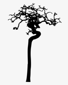 Pin Bare Tree Branches Clip Art - Silhouette, HD Png Download, Transparent PNG