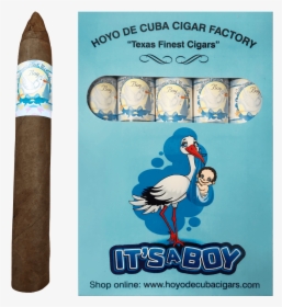 It S A Boy Torpedo Cigars Box - Cartoon, HD Png Download, Transparent PNG