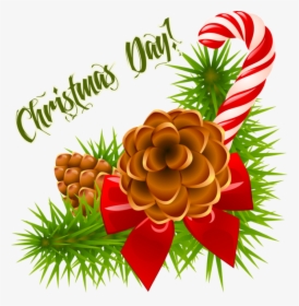 Christmas Day Decoration Png Transparent - Clip Art Christmas Pine Cone, Png Download, Transparent PNG