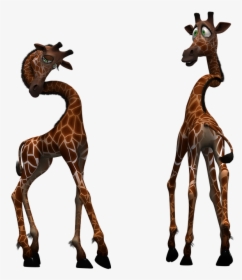 Giraffe, Mammal, Funny, Fantasy, Digital Art, Isolated - Giraffa Clipart, HD Png Download, Transparent PNG