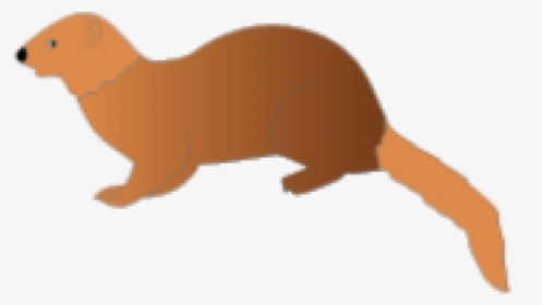 Mongoose Clipart Clip Art - Ferret, HD Png Download, Transparent PNG