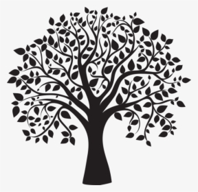 Thumb Image - Black And White Tree Clipart, HD Png Download, Transparent PNG