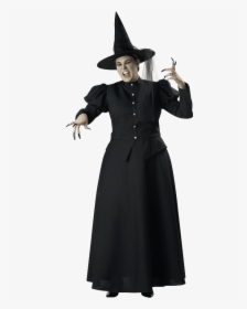 Womens Wicked Witch Plus Size Costume - Witch Costume, HD Png Download, Transparent PNG