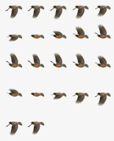 Return Of The Animated Gif - 2d Bird Flying Animation, HD Png Download, Transparent PNG