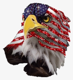 Eagle American Flag Gif, HD Png Download, Transparent PNG