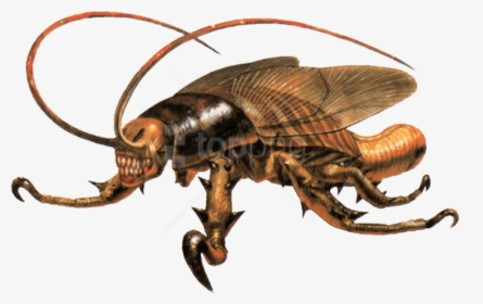 Download Cockroach Eve Png - Parasite Eve Cockroach, Transparent Png, Transparent PNG