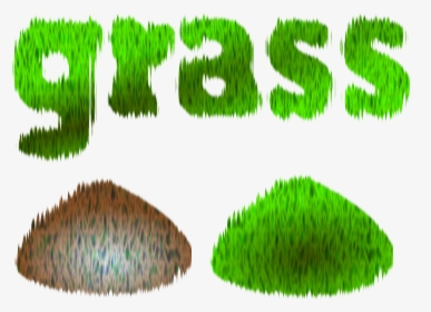 Grass, HD Png Download, Transparent PNG