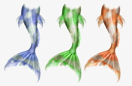 Mermaid, Merman, Merfolk, Mer, Myth, Mythical - Color Mermaid Tails Drawing, HD Png Download, Transparent PNG