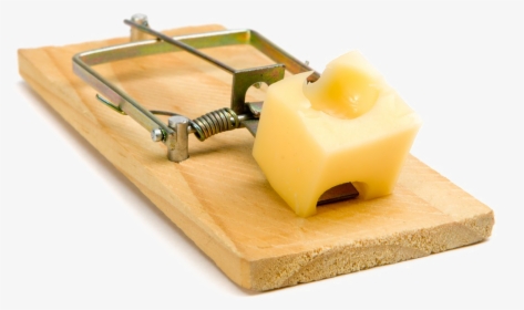 Transparent Mouse Trap Png - Don T Fall Into The Trap, Png Download, Transparent PNG