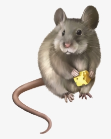 Mice Clipart Rodent - Realistic Mouse Clipart, HD Png Download, Transparent PNG