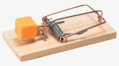 Rat Trap Free Cheese, HD Png Download, Transparent PNG