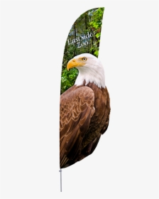 Mexico Flag Eagle Png, Transparent Png, Transparent PNG