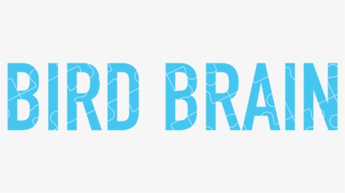 Bird Brain - Graphic Design, HD Png Download, Transparent PNG