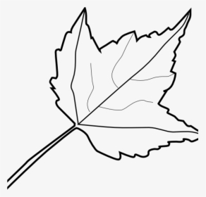 Leaf Outline Images Maple Leaf Outline Clip Art At - Leaf Clipart Black And White, HD Png Download, Transparent PNG