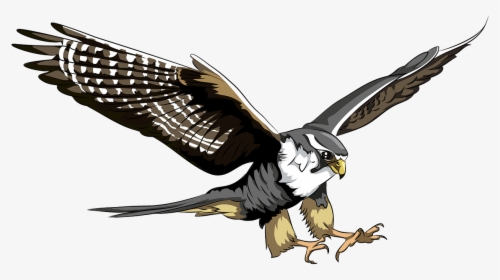 Peregrine Falcon Falcon Vector, HD Png Download, Transparent PNG
