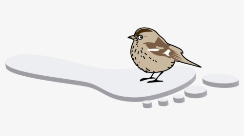 Huella Ecológica Png, Transparent Png, Transparent PNG