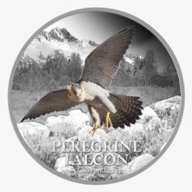 Niue 2013 2$ Peregrine Falcon Birds Of Prey Proof Silver - Silver, HD Png Download, Transparent PNG