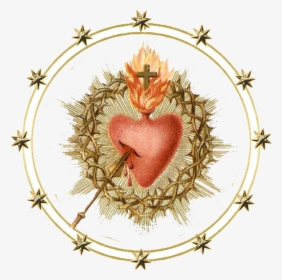 Most Sacred Heart Of Jesus Have Mercy, HD Png Download, Transparent PNG