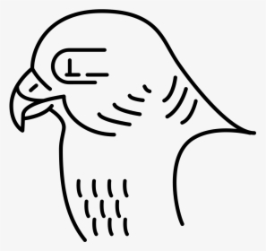Peregrine Falcon Easy To Draw, HD Png Download, Transparent PNG