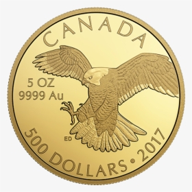 Canadian 5 Dollar Gold Coins, HD Png Download, Transparent PNG