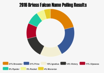 Briess 2016falconnamingcontest Results - Circle, HD Png Download, Transparent PNG