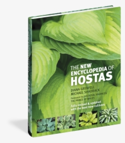 Transparent Hosta Png - The New Encyclopedia Of Hostas, Png Download, Transparent PNG