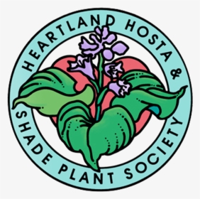 Heartland Hosta & Shade Plant Society - St Francis Of Assisi Catholic Academy, HD Png Download, Transparent PNG
