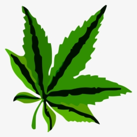 Plant,leaf,hemp Family - Leaf Pdf, HD Png Download, Transparent PNG