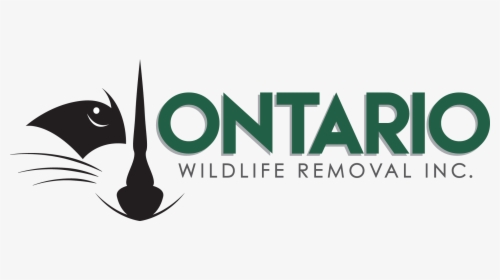 Ontario Wildlife Removal - Graphic Design, HD Png Download, Transparent PNG