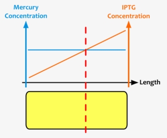 Diagram, HD Png Download, Transparent PNG