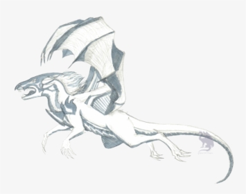 Transparent Flying Dragon Png - Stallion, Png Download, Transparent PNG