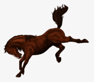 Horse Bucking Stallion Bronco Mane - Bucking Horse Cartoon Png, Transparent Png, Transparent PNG