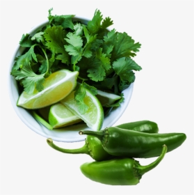 Coriander And Curry Leaves Plant Together, HD Png Download, Transparent PNG