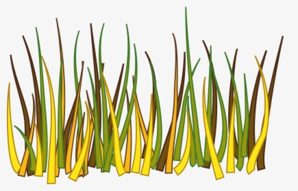 Transparent Vegetation Clipart - Big Grass Drawing, HD Png Download, Transparent PNG