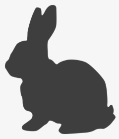 Rabbit, Hare, Bunny, Easter Bunny, Cottontail - Black Bunny Clip Art, HD Png Download, Transparent PNG