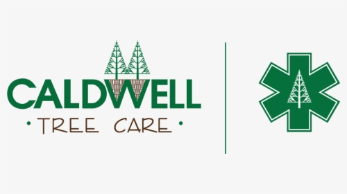 Caldwell Tree Care - Graphic Design, HD Png Download, Transparent PNG