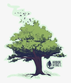 Arbor Vitae Ii Branding Band Logo Illustration Tree - Oak, HD Png Download, Transparent PNG