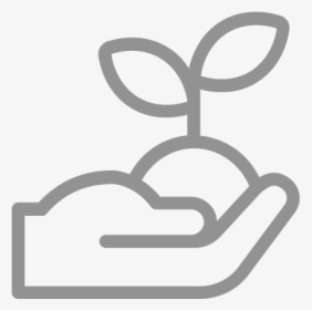 Sprout Seed Icon Grey, HD Png Download, Transparent PNG