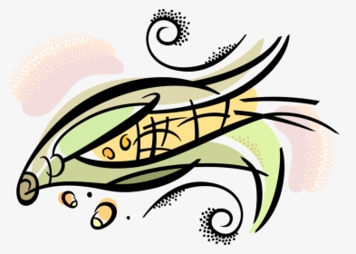 Vector Illustration Of Corn Husk Cob Of Corn Maize, HD Png Download, Transparent PNG