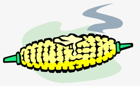 Vector Illustration Of Corn On The Cob Grain Plant - Corn On The Cob Clipart, HD Png Download, Transparent PNG