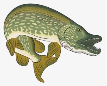 Illustration, HD Png Download, Transparent PNG