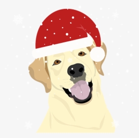 Christmas Dog Drawing, HD Png Download, Transparent PNG