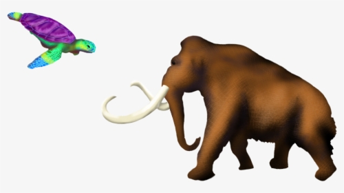 Indian Elephant, HD Png Download, Transparent PNG