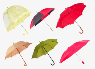 Ladies - Umbrella, HD Png Download, Transparent PNG